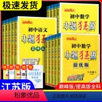数 学 苏科版 八年级上 [正版]2024春新版恩波初中七八九年级上册下册数学物理语文英语初中初一初二初三提优版巅峰版同