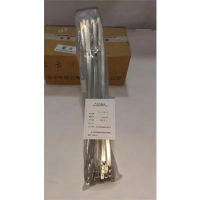 碧云 不锈钢扎带 4.6mm*300mm 条