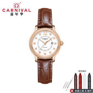 正品嘉年华Carnival瑞士品牌手表新款防水带日历全自动机械表 女士女表镶钻时尚气质简约腕表8062L