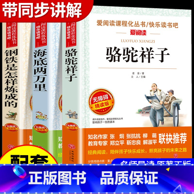 [配套人教版3册]骆驼祥子+钢铁是怎样炼成的+海底两万里 [正版]骆驼祥子和钢铁是怎样炼成的原著完整版七年级必读名著老舍