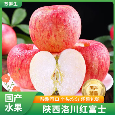 [苏鲜生]正宗陕西洛川红富士苹果 净重4.5斤 中果 10-12枚 新鲜时令水果当季整箱