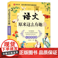 语文原来这么有趣 小学四年级 北教小雨 语文课本同步拓展阅读 多学科融会贯通 知识趣味并存 北京教育出版社 正品书籍