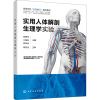 实用人体解剖生理学实验 高等学校岗课赛证融合教材 供临床医学食品营养学卫生保健等专业 陈辉芳 江振友 郑沛林 化学工业出