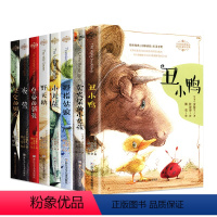 安徒生童话全集[共8册] [正版]经典全译本安徒生童话全集8册 权威完整全译版本 没头脑和不高兴 任溶溶译 6-12岁
