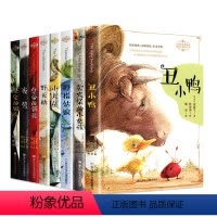 安徒生童话全集[共8册] [正版]经典全译本安徒生童话全集8册 权威完整全译版本 没头脑和不高兴 任溶溶译 6-12岁