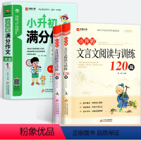 [全3册]小升初满分作文+古诗词+文言文阅读与训练120篇 小学升初中 [正版]小升初满分作文大全小学六年级精选高分获奖