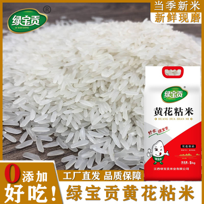 绿宝贡[新品上线]10斤装黄花粘新米正宗农家长粒香优质大米南方大米