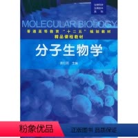[正版]全新 分子生物学(袁红雨) 自然科学 生物科学 分子生物学 袁红雨 化学工业出版社 97871221462
