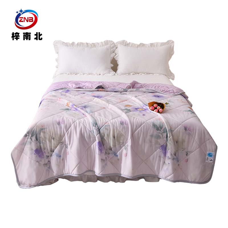 梓南北 印花凉感丝夏被空调被 150*200cm 条