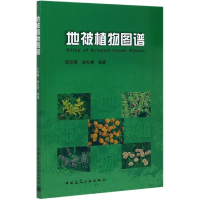 音像地被植物图谱编者:阮积惠//徐礼根|责编:白玉美//吴宇江