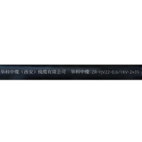 华科中缆 铠装铜芯线 ZR-YJV22-0.6/1KV-2×35 /米