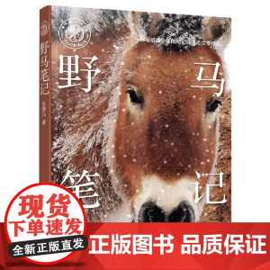 少儿科普精品馆:野马笔记张赫凡著7-12-14岁中小学生一二三四年级暑假期课外阅读认识保护自然野生动物科普书籍书目