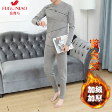 男士大花秋裤图片 男士大花秋裤图片大全 苏宁易购