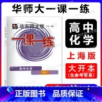 化学 必修第一册 [正版]2023新版华东师大版一课一练 化学必修1 高一上册高1年级第一学期化学 华师大版一课一练 上
