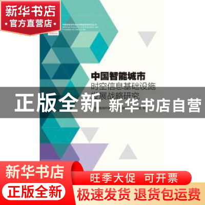 正版 中国智能城市时空信息基础设施发展战略研究 中国智能城市建