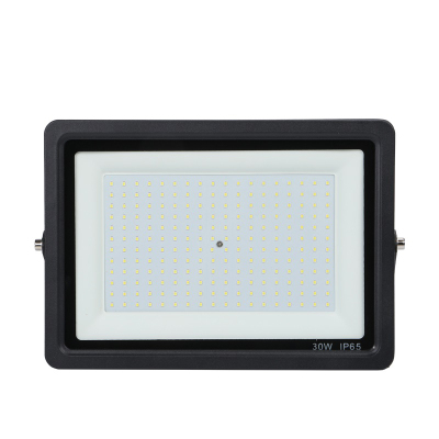 韬鹏 小苹果 LED投光灯 30W 个