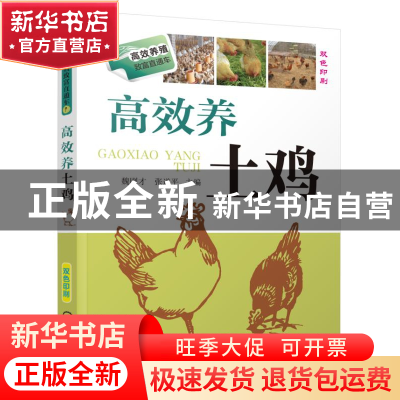 正版 高效养土鸡(双色印刷)/高效养殖致富直通车 魏刚才//张遂平