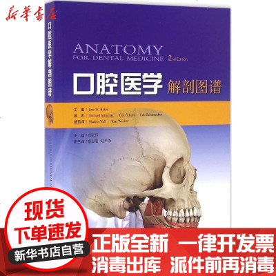 新华书店-正版口腔医学解剖图谱埃里克·贝克9787547832462上海科学技术出版社书籍