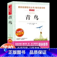 青鸟 [正版]青鸟书籍四年级课外书必读国际大奖儿童文学系列小说6-10-12岁童话故事书小学生三五六年级经典名著老师4年