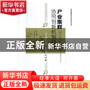 正版 产业集群协同创新机制研究:基于西北民族产业数据 陈明 经济