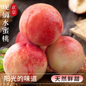 [熊猫鸟]露天新鲜 水蜜桃 脆桃 大果 净重4.5斤 约7-12颗脆甜口感