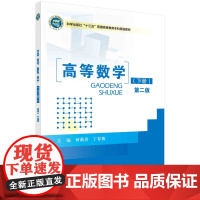 高等数学(下册)(第二版)