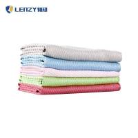 LENZY 韧知 抹布 彩色超细纤维鱼鳞布 30*40cm 10条/组
