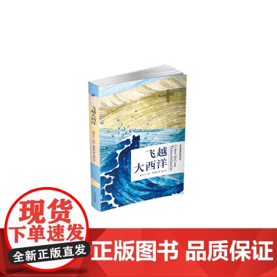 飞越大西洋 科伦?麦凯恩 人民文学出版社 正版书籍