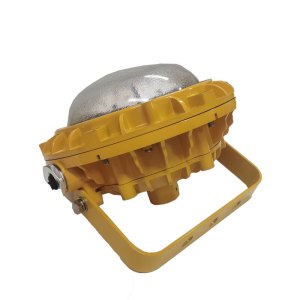 光大特照 EBF605 (L/YJ)-20 20W 220V IP66 LED顶灯 (计价单位:个) 黄色