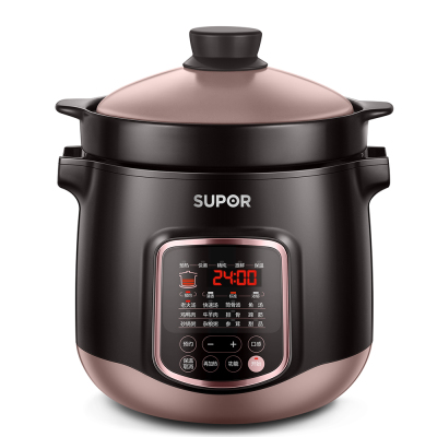 苏泊尔SUPOR多功能电炖锅DG60YC13 6L