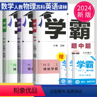 数学英语物理 八年级上 南通专用 八年级/初中二年级 [正版]2024学霸题中题八年级上册下册英语物理八下苏科版苏教译
