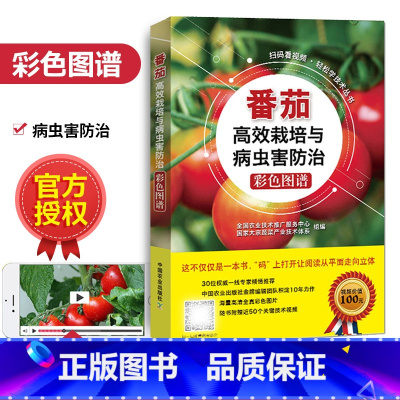 [正版]赠视频番茄高效栽培与i病虫害防治彩色图谱大棚高效种植番茄西红柿栽培种植技术大全大棚蔬菜栽培教程书籍西红柿栽培技