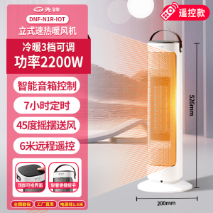 先锋(SINGFUN)取暖器暖风机家用小型安全节能电暖气休闲多场景使用加热器烤火炉直流电机左右摇头DNF-N1R-IOT