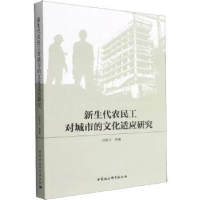 音像新生代农民工对城市的文化适应研究洪秋兰