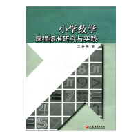 正版新书]小学数学课程标准研究与实践王林等9787549907380