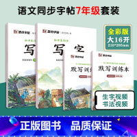 [语文临摹套装]7年级上册+下册(送默写训练本) 国一/初中一年级 [正版]墨点字帖国一上册英语字帖外研版英语意大利斜体