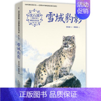 (修订版) 雪域豹影 [正版]沈石溪狼国女王动物小说全集感悟生命书系修订版红豺五彩龙鸟雪域豹影 7-15岁儿童文学中小学