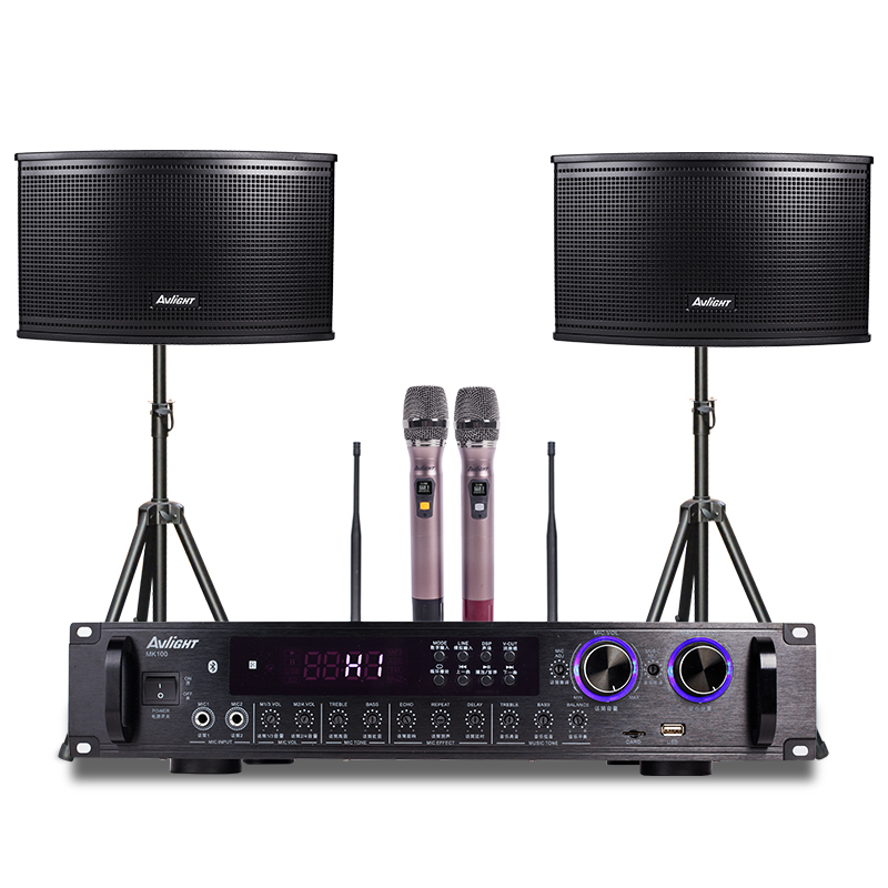 爱浪(AvliGHT)MK100-10 KTV音响套装家庭影院客厅电视会议音箱卡拉OK无线U段话筒
