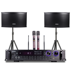 爱浪(AvliGHT)MK100-10 KTV音响套装家庭影院客厅电视会议音箱卡拉OK无线U段话筒
