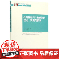 战略性新兴产业政策的理论实践与机制/国家智库报告