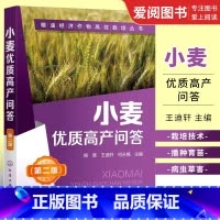 小麦优质高产问答 [正版]小麦优质高产问答 杨雄 粮油经济作物高效栽培丛书 第2二版 化学工业出版社 小麦高效栽培种植技
