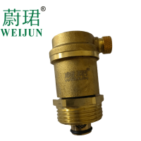 蔚珺铜自动排气阀6分DN20mm个