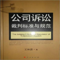 音像公司诉讼裁判标准与规范王林清著