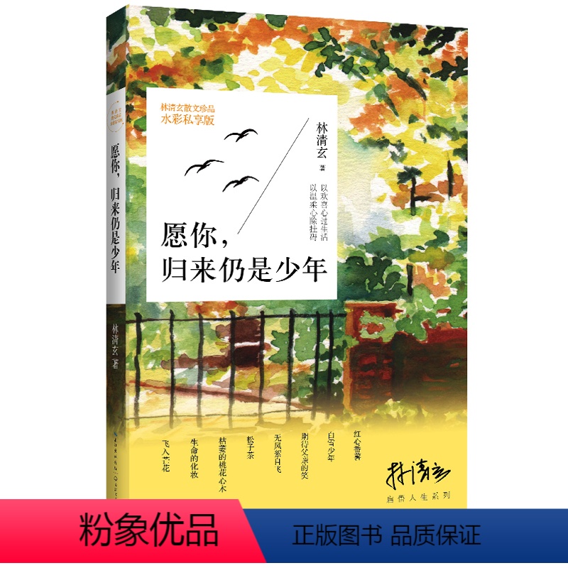[正版]愿你,归来仍是少年 林清玄启悟人生系列 现当代文学散文随笔青少年经典文学小说 文学心灵与修养 当代散文集林清玄