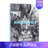 单本全册 [正版] 从天而降的石子 5岁以上炭笔绘制童年幻想宇宙日本绘本图画故事亲子阅读书籍 童书