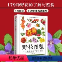 [正版]野花图鉴 野花的基本知识从生活形态植物形态别名图片展示详细介绍野花的外形及特点从根本上认识野花自然科普图鉴百科
