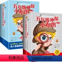 第一+第二辑共20册 [正版]五年级神探小布朗1-10全10册 外国儿童文学书籍 6-9-12周岁儿童课外读物 培养