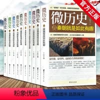[正版] 微历史10本套装 唐宋明朝就是如此有趣 魏晋南北秦汉三国元朝清朝明朝系列套装历史故事大全集 趣味讲解中国