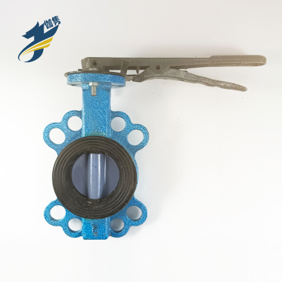 伽隽 对夹式法兰蝶阀 DN125 /个