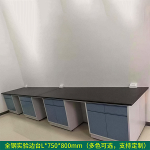 汉诺鑫威全钢实验台钢木PP边台柜试验台化验室工作台实验室桌操作台定制(每米单价)[工厂现做 7天内发货]